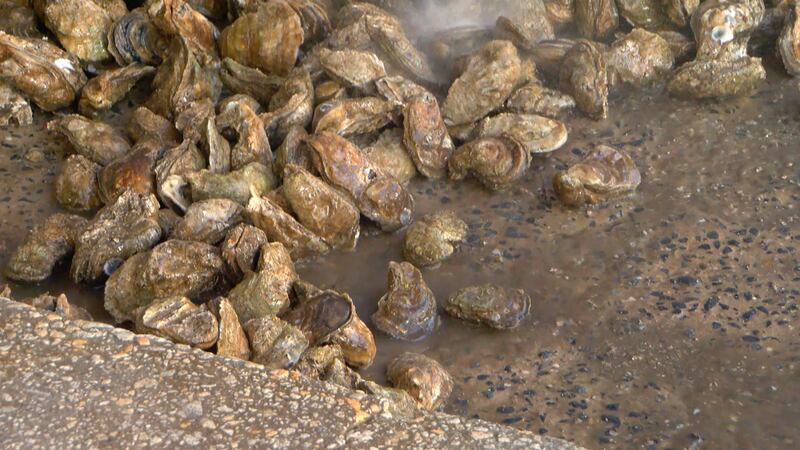 Annual Murrells Inlet Oyster Roast returns this weekend