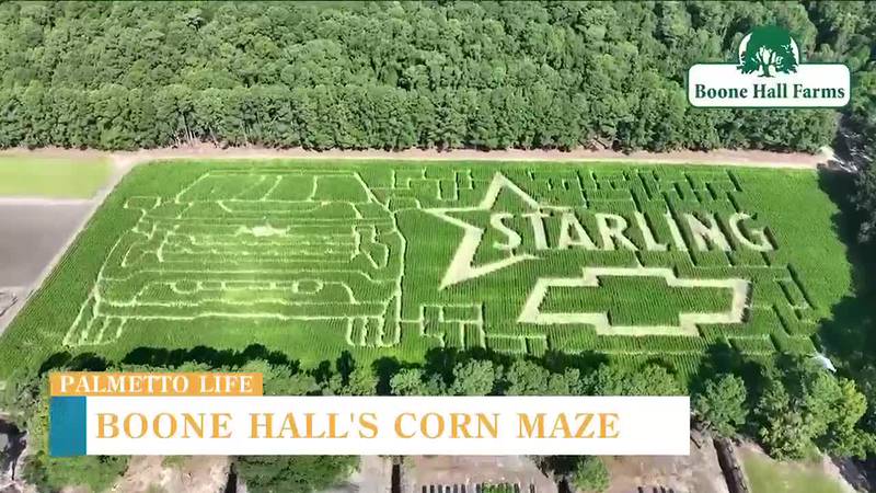 VIDEO: Boone Hall is ready for fall