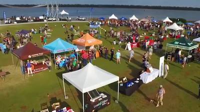 Military families to enjoy free entry to Celebrity Paws in the Park