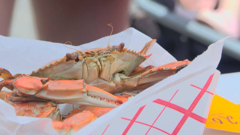 The inaugural North Charleston Blue Crab Festival is coming in April 