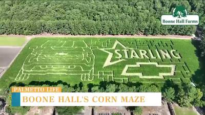 VIDEO: Boone Hall is ready for fall