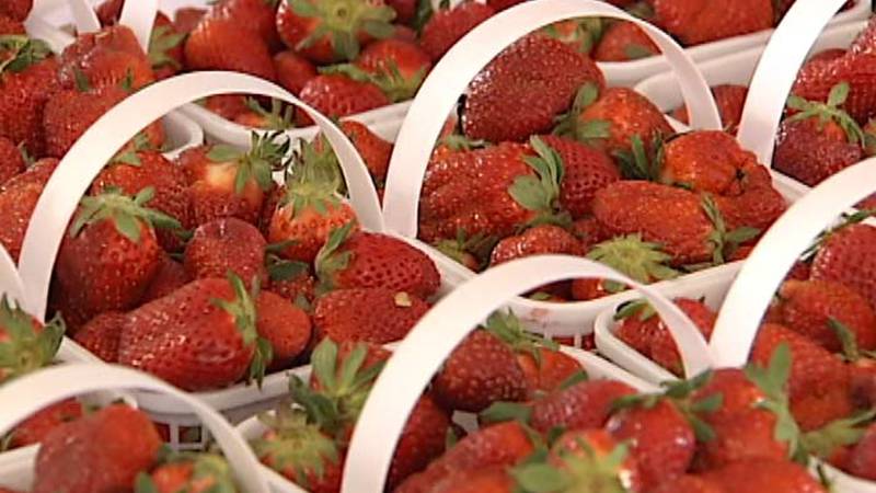 A double dose of the Strawberry Festival starts this weekend