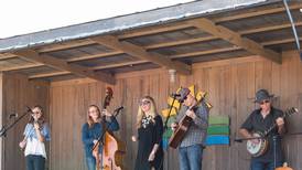 Bluegrass and family fun at the Harvest Festival