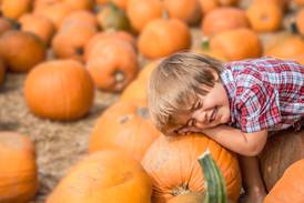 Enter for your chance to win a 5-pack of tickets to Boone Hall Pumpkin Patch
